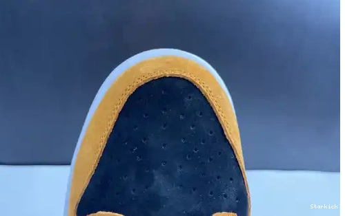 DA1469-001 Low (2020) Dunk Ceramic Nike 0623